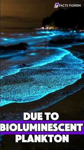 🌌 This Beach in New Zealand Glows in the Dark!