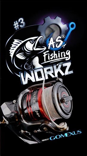 Shimano Stradic CI4+ Upgrade – Gomexus Reel Stand R4 ⚙️💥 AS Fishing