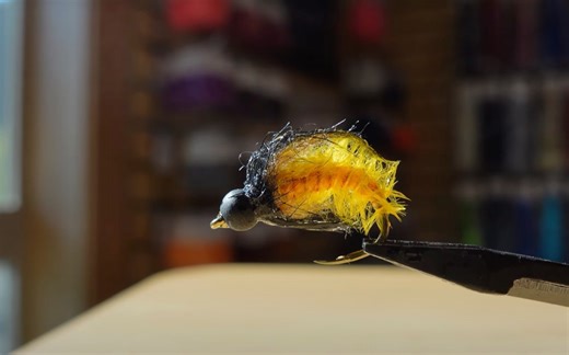 How to Fish October Caddis Pupa | MidCurrent
