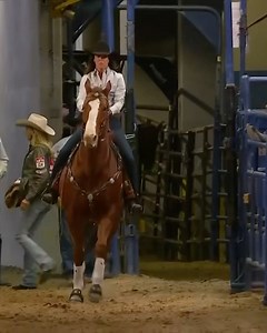 13K views · 6.2K reactions | CowboyChannel on Reels | Facebook