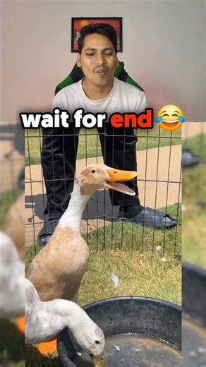 Try not To laugh Challenge pt 397 😂 @jelroolive | Water Challenge | #viral #trending #youtubeshorts