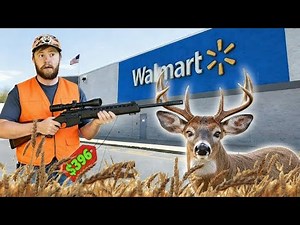 I Tested Walmart's CHEAPEST Rifle!