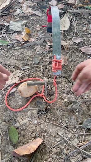 96K views · 86 reactions | Dangerous Rope Loops ➰ With Trap Mechanism | Rope Crafts | Facebook