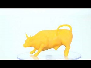 Halot service : Model (Cattle) Display in Halot Box