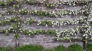 There are so many reasons to love House of Dun, Montrose ❤️ | National Trust for Scotland