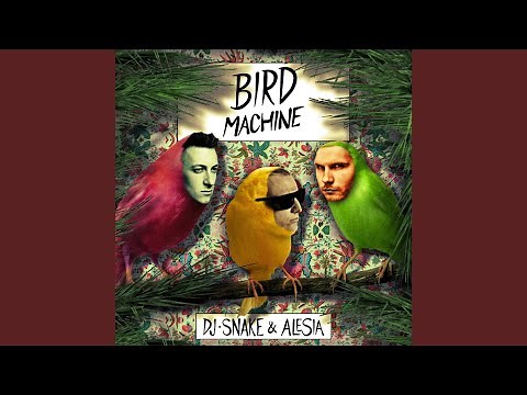 Bird Machine