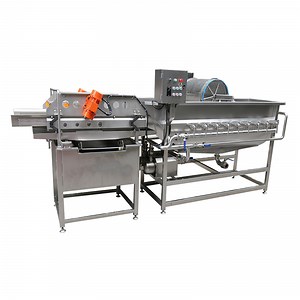 [Hot Item] Vegetable Fruit Vortex Washing Machine Vegetable Processing Equipment