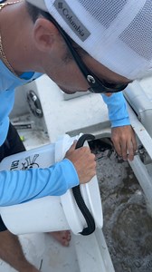 12M views · 232K reactions | Baby Goliath Grouper!!!! #Fishing #Fish #oceanlife | RAWWFishing | Facebook