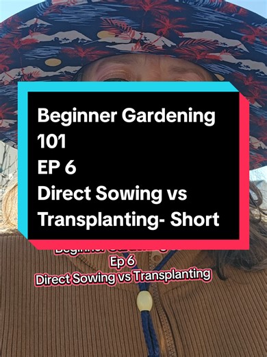 Beginner Gardening 101 Episode 6 Direct sowing vs transplanting. it is as simple as it seems. the key is many seedlings can handle being transplanted but many others cant. direct sowing is planting the seeds exactly where you want the plant to grow and live. Transplanting is when you grow the seedling somewhere besides where its final home will be and once its the appropriate size you move it to its new home. #gardening #beginnergardening #gardening101 #newgardener #gardeningtips