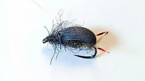 Foam Beetle Dry Fly. Full video https://youtu.be/m3I0R3lSyl0?si=DRnze3j0yhzS8ryl @kindale_fly_fishing #flytying #flyfishing #fliesforsale #dryfly #beetle #shotaflies #Bestfly #flytyingcommunity #flytyingtutorial #flyfishingnation #flyfishingcommunity #flytyingjunkie #flytyingnation #flytyingmaterials #flyfishingaddict #flyfishinglife #flyfishingjunkie #beetlefly #beetledryfly #foamflytying | Shota Jokhadze