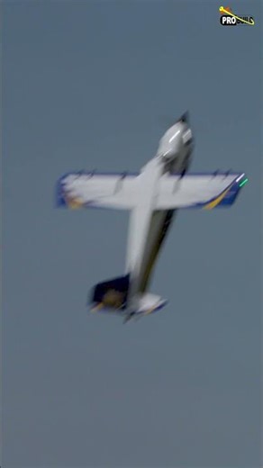 3W Scale Slot ProWing #rc #airplane #rcaircraft #3w #aviation #rcplane #rcflying #flyby