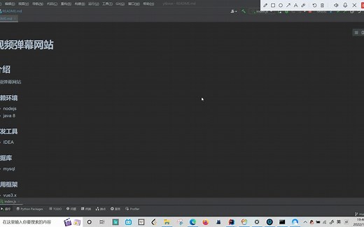 java项目 弹幕视频网站开发（spingboot vue2架构）