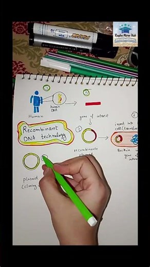 #steps #recombination #laboratory #shorts #trending