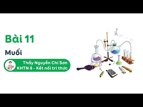 Natural Science Grade 8 - Lesson 11: Salt - Connecting Knowledge