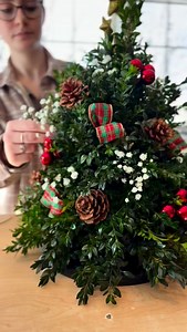 24 reactions | Last call! Want to sign up for the next workshop?! Design your very own table top Boxwood Tree that will last all season long! Sign up for class on December 10th & enjoy a night of friends, food & festive designs! Allioops.com/classes | Allioops! | Facebook