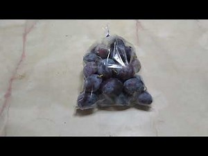 【無限プルーン】種から育てるプルーン！