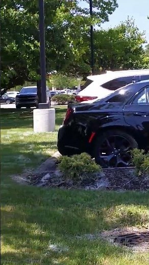 Little Bear - Theme Song