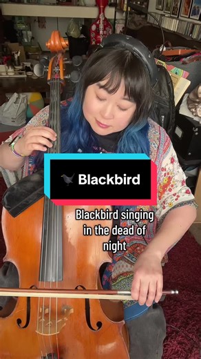 My cello spin on @victoriacanal ‘s beautiful Blackbird arrangement! While you only see one of me the cello accompaniment in the background is also me! #beatles #cello #radiohead #blackbird #haunting
