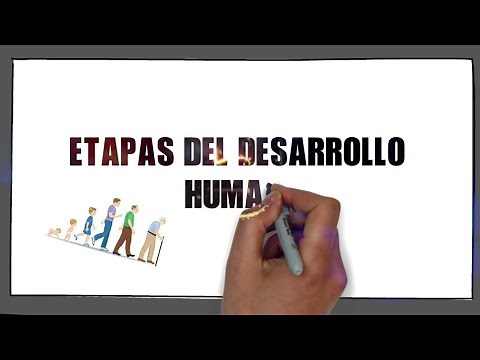 Stages of Human Development | What are the STAGES OF HUMAN DEVELOPMENT