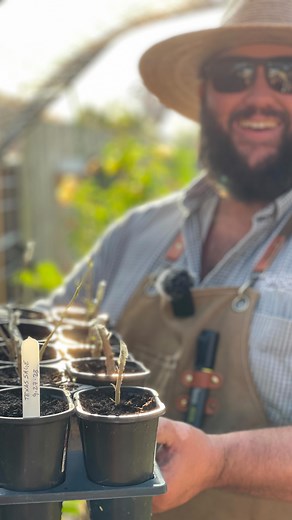 17K views · 288 reactions | Propagating Native Texas Sage! Full Video Available on Texas Garden Guy Facebook and YouTube Channel! | Texas Garden Guy | Facebook