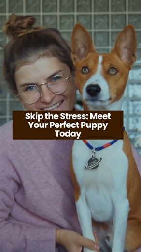 Stress-Free Local Shopping for Pets