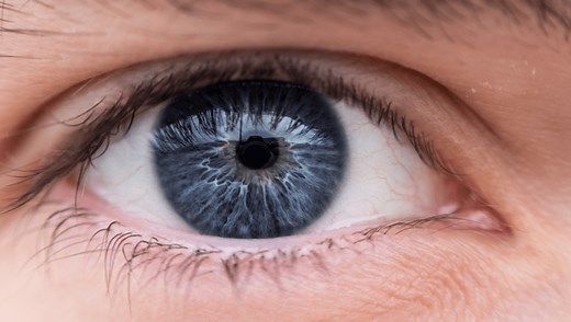 The Leftovers Of A Third Eyelid Can Still Be Found In Your Eye