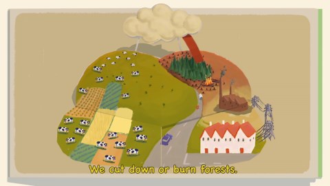 Penguins and polar bears