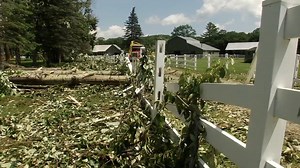 Possible microburst likely to blame for damage in Kingfield