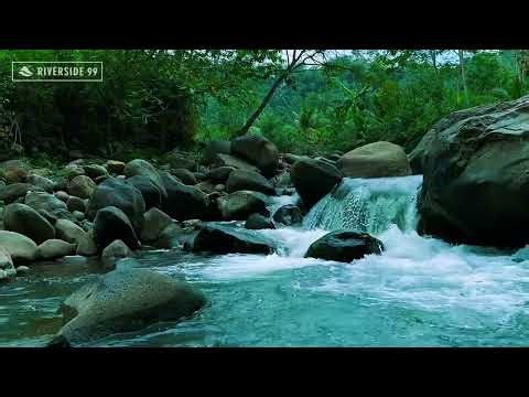 🌙 Sleep in 5 Minutes 😴 River Sounds & Waterfall Sounds for Deep Sleep, Stress Relief & Calm Mind
