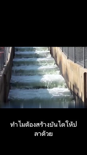 ทำไมต้องสร้างบันไดให้ปลา?#ปลา #บันได #วิทยาศาสตร์ยอดนิยม #บันได