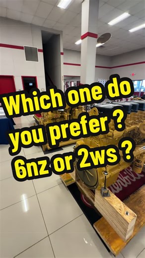 Caterpillar 2WS vs. Reman 6NZ: Which One to Choose?