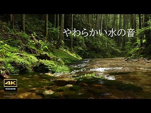 4K video + natural sounds / Sound of water flowing gently in the forest / Birds chirping