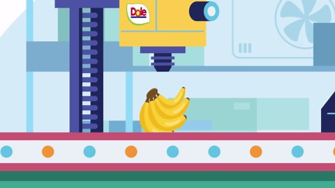 The Biggest Recalls In Dole History