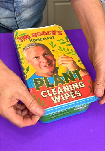 DIY Plant Wipes Using Swiffer Container and Neem Oil