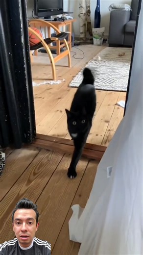 Ami Rodriguez on Reels