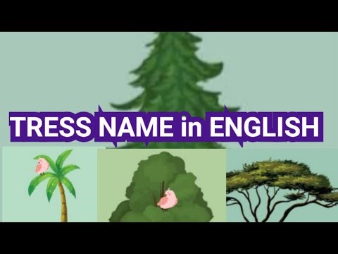 Kids learn trees name in english #childrenseducation #preschool #kidslearning 