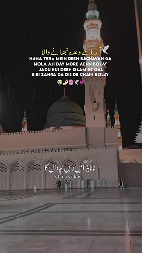 28th Zilhaj status 💕❤️ nana tera Mein Deen bachavan gah qawali 🌸🙊 today 28th Zilhaj status 💔🥲 #today_28thzilhaj_status💕🕊️ #muhurram_status😔🙌🏻 #karbala_immam_hussain🥲🥀 #salam_ya_hussain🕊️🦋 #mazloom_hussain🚩🙌🏻 28th Zilhaj status 💔🥹