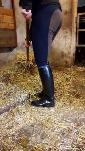Stall - Misten in Gummistiefeln Aigle Dressage, Reithose