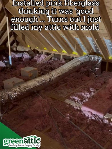 Switch to Green Cellulose Insulation for a Mold-Free Home