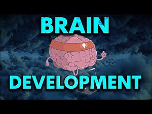 Baby Music for BRAIN DEVELOPMENT Lullaby for Babies to Go to Sleep