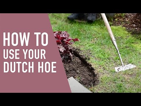 How to Use a Dutch Hoe - Quick Tip 😎 || West Coast Gardens