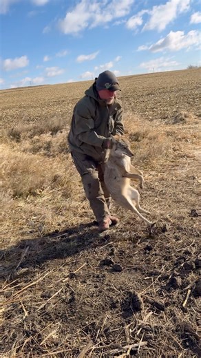 How to remove coyotes from traps live market