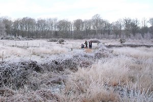 UK sees coldest January night in 15 years as winter snap continues