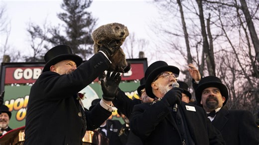 Punxsutawney Phil and his shadow, what is next?