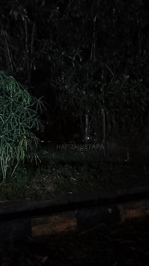 Nak tambah lampu? tapi fikir bill asyik naik? sekarang tak perlu risau. dah ad lampu SPOTLIGHT yg terang dan bateri tahan lama. harga yg mampu milik Guys. set Combo pulak tu #lampusolar #lampusolarviral #lampusolarterang #spotlightsolaroutdoor #lampusolarmurah #lampusolarjimatbilelektrik