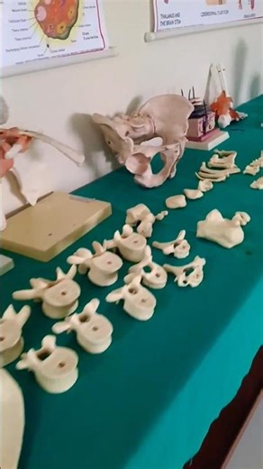 Our HAP Lab 🌡️🩺 | Measuring Blood Pressure Practical 🙂 #medicalstudents #minivlog