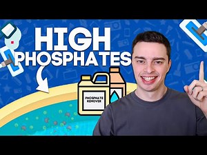 High Phosphates In Pool - What To Do About It?