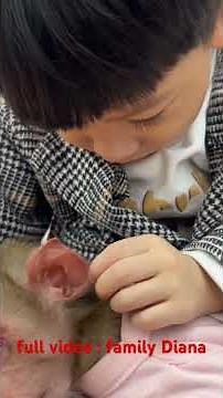 Diana monkey finds the baby pooping! Runs to find Roma to change the baby's diaper