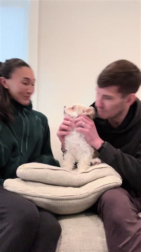 Dog Loves Owner More? Funny Comparison Test!