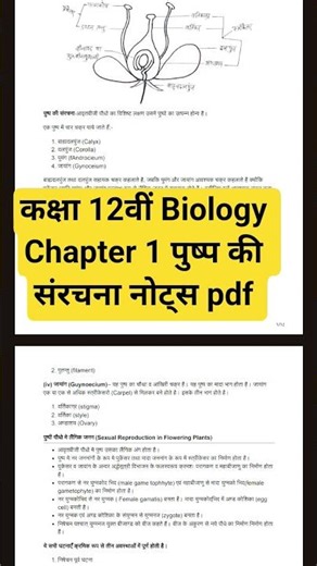 Ncert class 12th Biology Notes file/ जीव विज्ञान कक्षा 12वीं नोट्स Pdf /Education Line